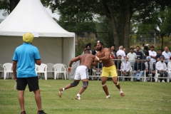 20240818_111344210_iOS