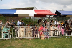 20240818_143231470_iOS